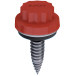 CF15_JF6.png
