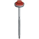 CF29_JT2_D-6_5-5_6-3.png